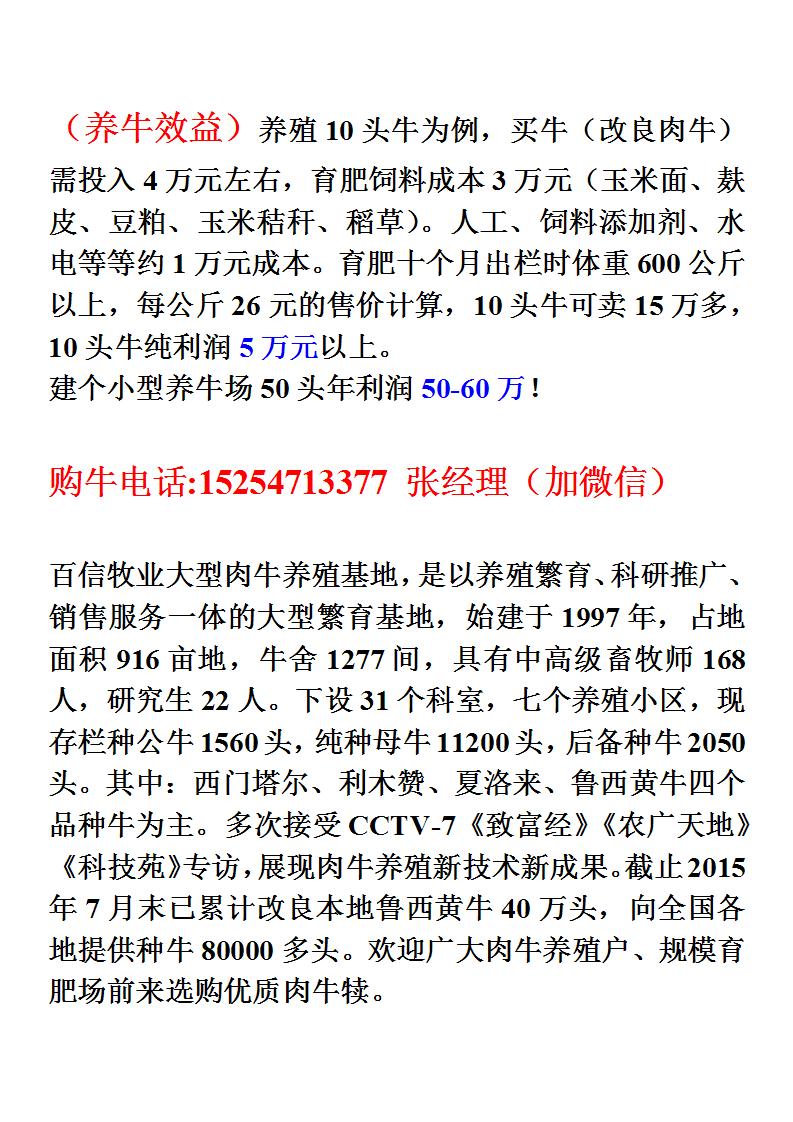 爱游戏中国官方网站青海省海西肉牛基地厂家